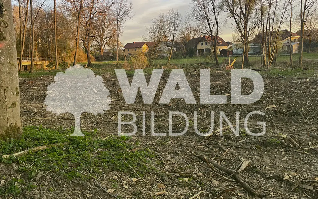 Projekt 48 – Eferding