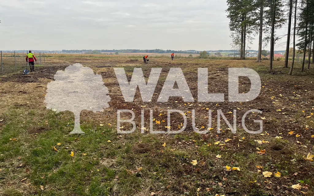 Projekt 41 – Allhaming 2