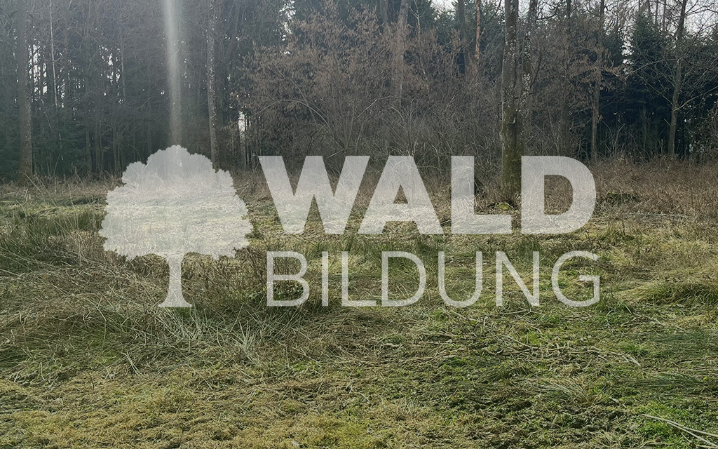 Projekt 44 – Holzhausen