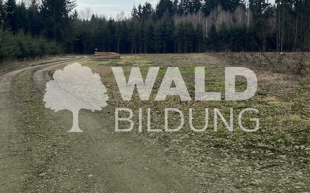 Projekt 52 – Steinhaus 2