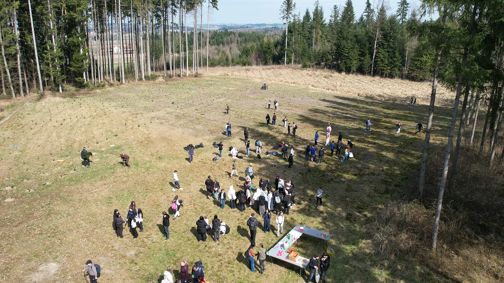Pressebericht zu Projekt 51 (Aufforstung in Wels – Niederthan)