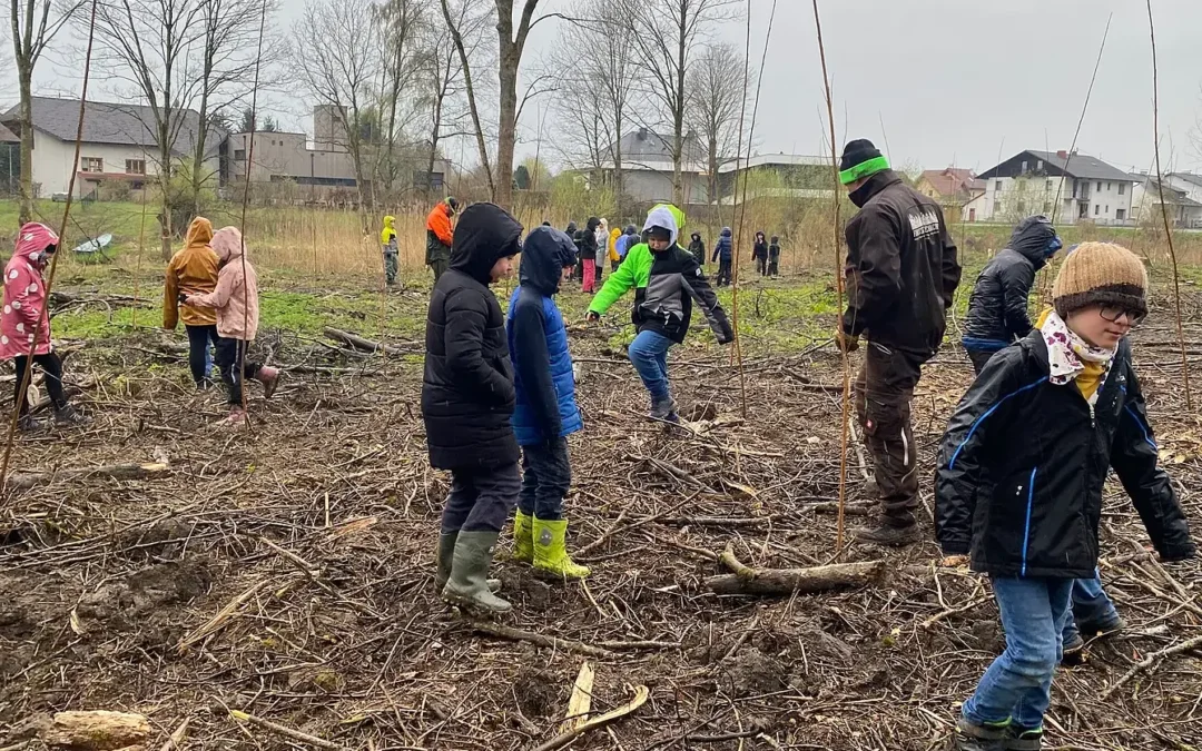 Allgemeiner Pressebericht über WALDBILDUNG von den OÖ Nachrichten vom 13.04.2026